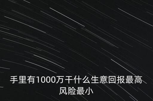 1000萬投資什么生意，手里有1000萬干什么生意回報最高風險最小