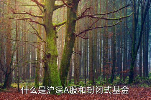 什么是上證封閉基金，請(qǐng)問什么是上海封閉式基金操作跟股票一樣嗎
