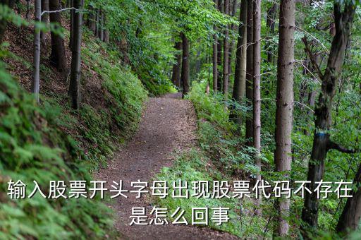 輸入股票開(kāi)頭字母出現(xiàn)股票代碼不存在是怎么回事
