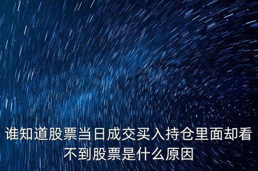 誰知道股票當日成交買入持倉里面卻看不到股票是什么原因