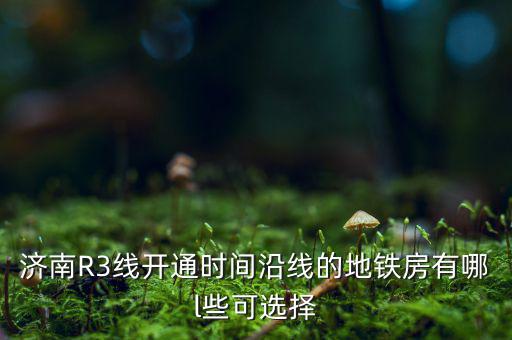 濟南R3線開通時間沿線的地鐵房有哪l些可選擇
