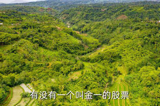 金一文化為什么停牌，金一文化什么時(shí)候復(fù)牌