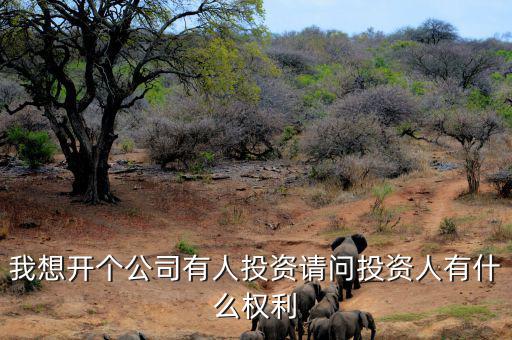 投資人最核心的優(yōu)先權(quán)是什么，投資人最關(guān)心哪三大核心問題