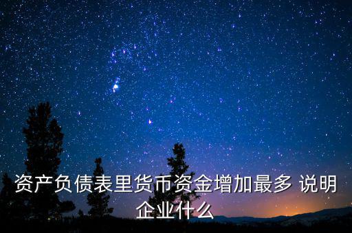 資產負債表里貨幣資金增加最多 說明企業(yè)什么