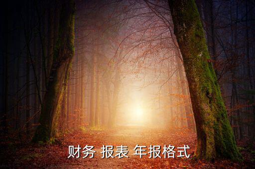  財(cái)務(wù) 報(bào)表 年報(bào)格式