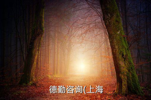 德勤tmt怎么樣,德勤投資管理有限公司信息和資料