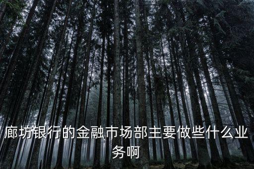 齊飛金融主營什么業(yè)務(wù)，堅(jiān)固金融都有什么業(yè)務(wù)實(shí)力怎么樣