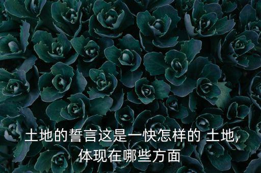  土地的誓言這是一快怎樣的 土地,體現(xiàn)在哪些方面