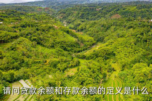 請(qǐng)問(wèn)貸款余額和存款余額的定義是什么