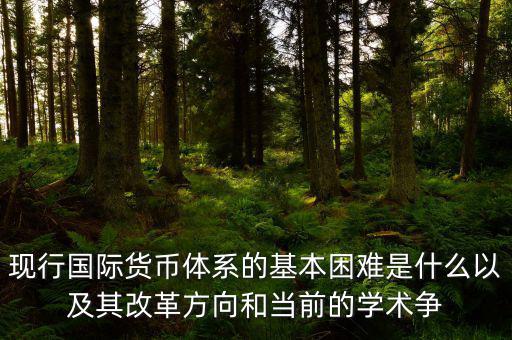 現(xiàn)行國際貨幣體系的基本困難是什么以及其改革方向和當前的學術爭