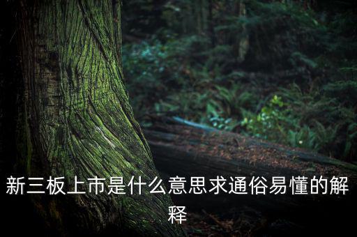 什么是新三板上市，新三板上市是什么意思求通俗易懂的解釋