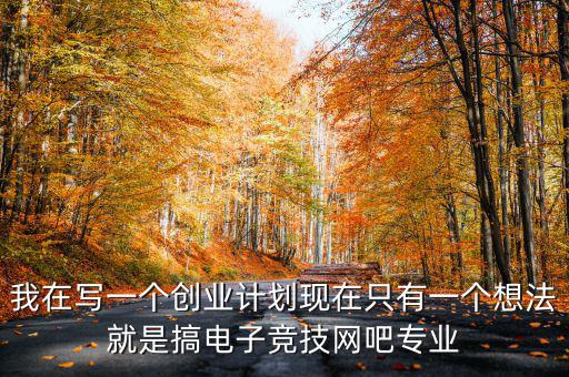 我在寫(xiě)一個(gè)創(chuàng)業(yè)計(jì)劃現(xiàn)在只有一個(gè)想法就是搞電子競(jìng)技網(wǎng)吧專(zhuān)業(yè)