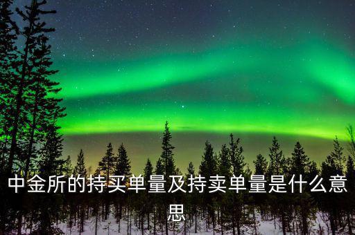 持買單量是什么意思，持賣單什么意思