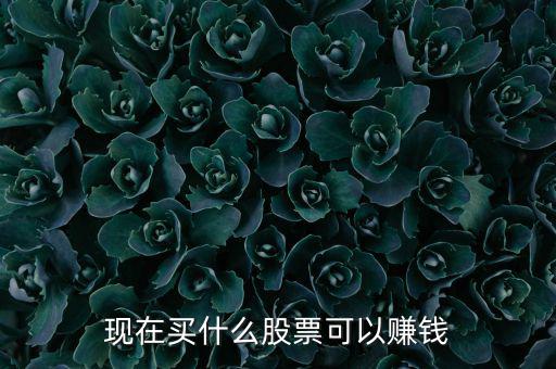 今年買什么股票可以賺錢，現(xiàn)在買什么股票可以賺錢