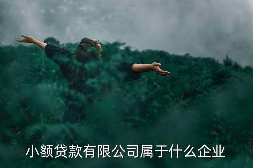 德善小額貸款是什么企業(yè)，德盛行小額貸款是不是真的