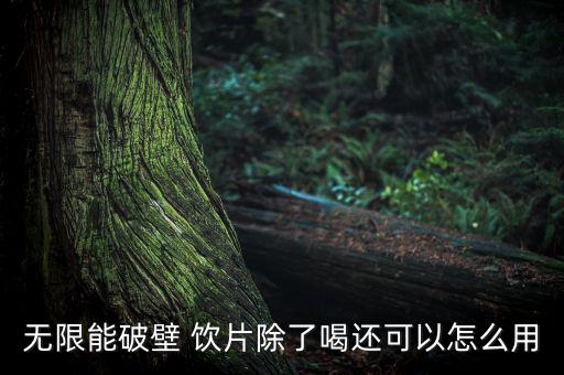 無限能破壁 飲片除了喝還可以怎么用