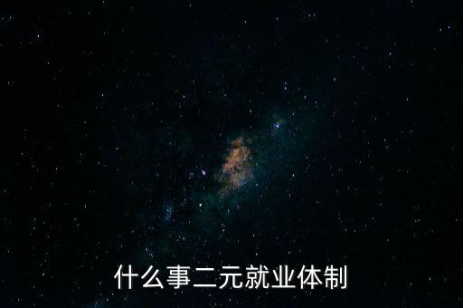 什么事二元就業(yè)體制