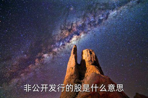 非公開(kāi)發(fā)行優(yōu)先股什么意思，非公開(kāi)發(fā)行的股是什么意思