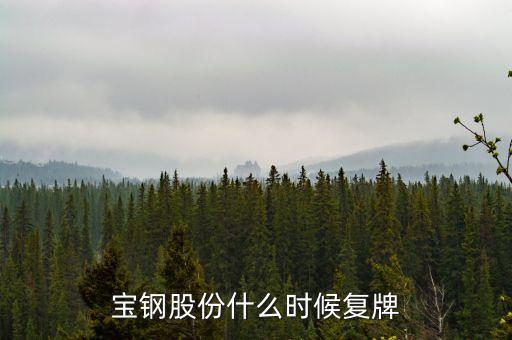 寶鋼什么時(shí)候復(fù)牌，武鋼和寶鋼什么時(shí)候完成重組