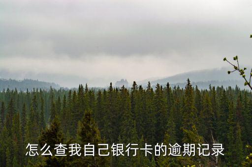 怎么查自己存檔費(fèi)欠錢(qián)嗎