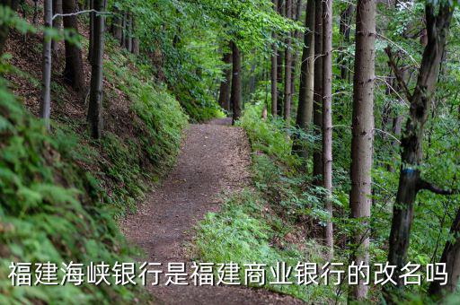 福建海峽銀行是福建商業(yè)銀行的改名嗎