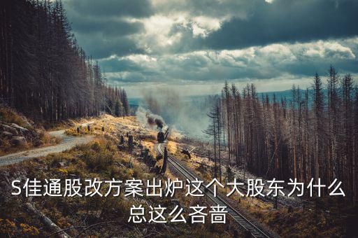 s佳通為什么不股改，s佳通的流通股這么少為什么不股改全流通