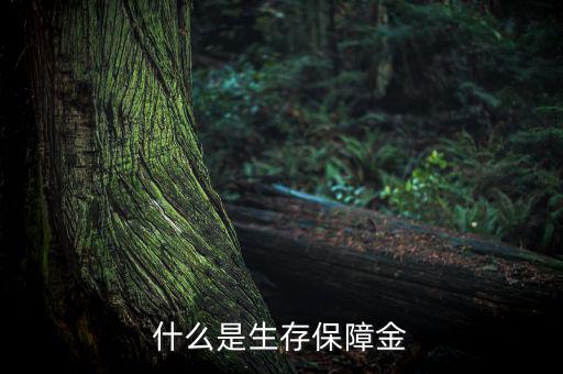 什么是生存保險(xiǎn)金，什么是生存保障金