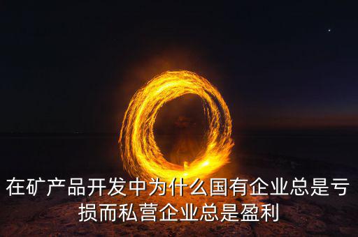 在礦產(chǎn)品開發(fā)中為什么國(guó)有企業(yè)總是虧損而私營(yíng)企業(yè)總是盈利