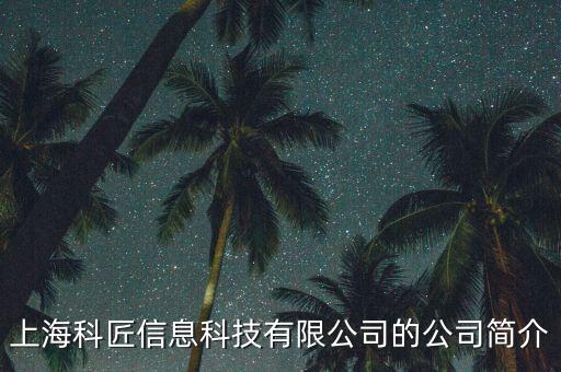 科匠和微匠什么關系列，科匠中國和用友有什么區(qū)別
