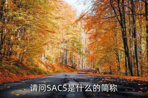 請(qǐng)問SACS是什么的簡(jiǎn)稱