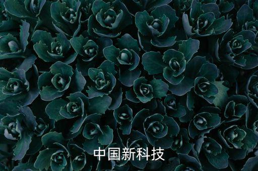 中國(guó)新科技