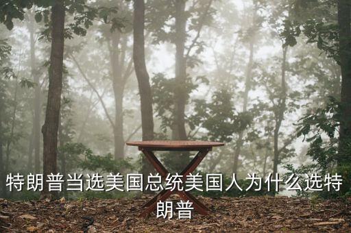 特朗普當選美國總統(tǒng)美國人為什么選特朗普