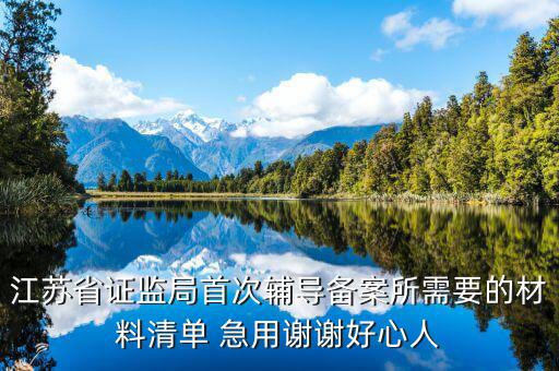 輔導(dǎo)備案登記受理是什么階段，我想問(wèn)一下辦一般納稅人申請(qǐng)后我們的輔導(dǎo)期是當(dāng)月 15小