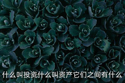 什么叫可投資資產(chǎn)，什么叫個(gè)人可投資資產(chǎn)懂的答有分送呦