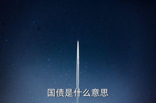 國債是什么意思