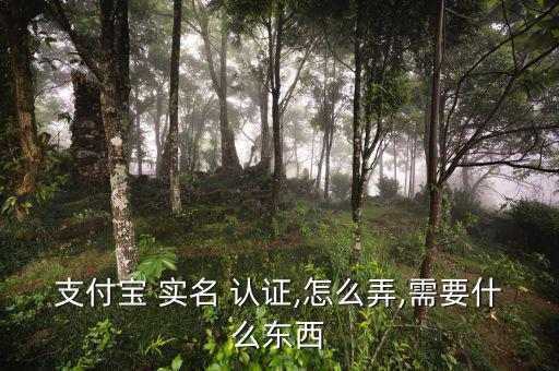 余額寶怎么實名認(rèn)證,支付寶實名認(rèn)證須滿16歲才能開戶