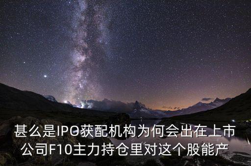 ipo獲配機構什么意思，ipo配售是什么意思
