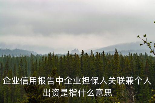 擔(dān)保人關(guān)聯(lián)是什么意思，企業(yè)征信中 擔(dān)保人關(guān)聯(lián)是什么意思