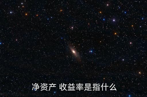  凈資產 收益率是指什么