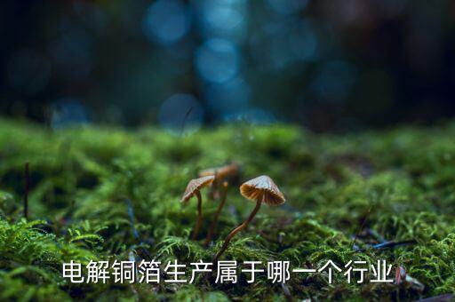 電子銅箔屬于什么行業(yè)，電解銅箔生產(chǎn)屬于哪一個行業(yè)