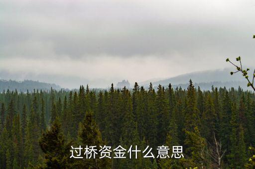 什么叫過橋資金，什么叫做過橋資金