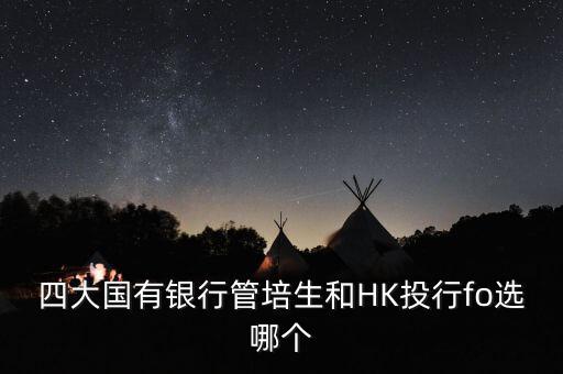 四大國有銀行管培生和HK投行fo選哪個(gè)