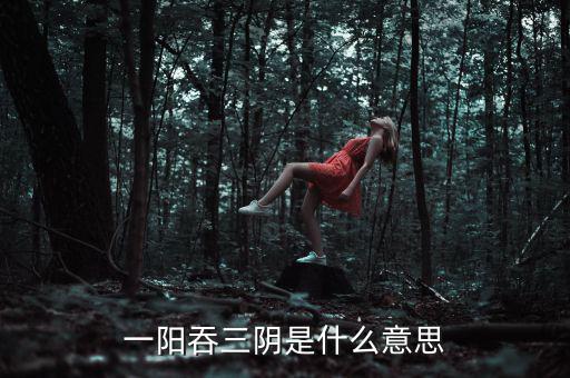 一陽(yáng)吞三陰是什么意思