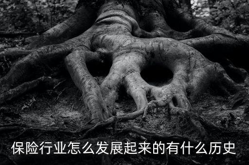 保險(xiǎn)行業(yè)怎么發(fā)展起來的有什么歷史