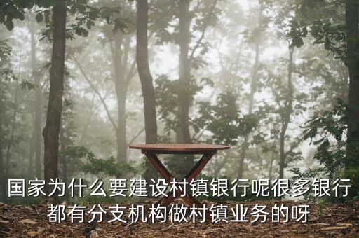 國(guó)家為什么要建設(shè)村鎮(zhèn)銀行呢很多銀行都有分支機(jī)構(gòu)做村鎮(zhèn)業(yè)務(wù)的呀