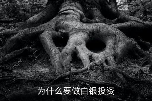 為什么要做白銀投資