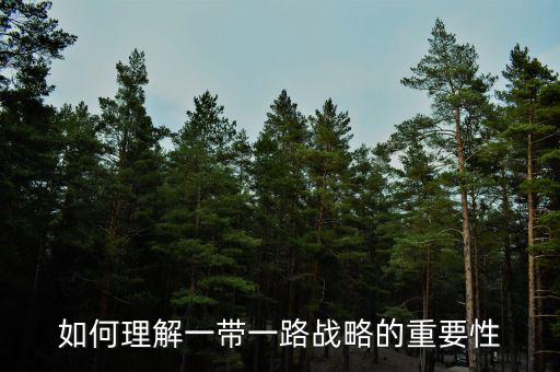 中國為什么要搞一帶一路，當(dāng)代國際社會的知識分析我國為什么要提出一帶一路的倡
