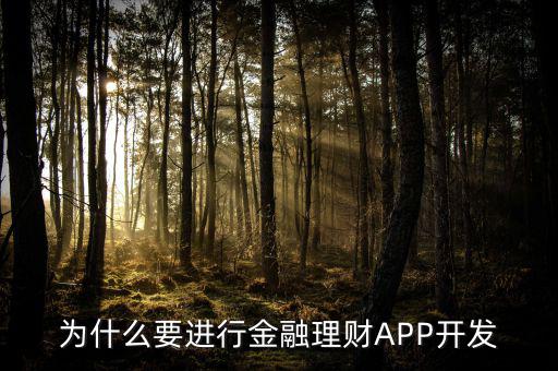 為什么要進(jìn)行金融理財APP開發(fā)