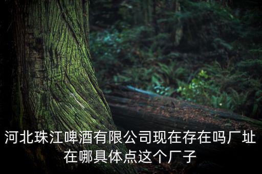 珠江啤酒為什么停牌，為什么市面上找不到珠江啤酒