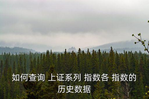 如何查詢(xún) 上證系列 指數(shù)各 指數(shù)的歷史數(shù)據(jù)